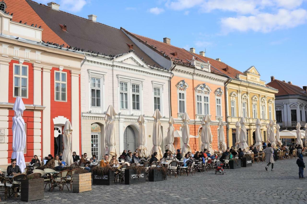 Chic Apartment In Historical City Center Тимишоара Екстериор снимка
